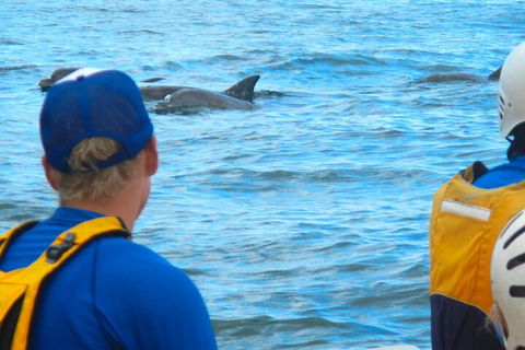 The Byron Bay Sea Kayak Tour - Accommodation Gold Coast 4