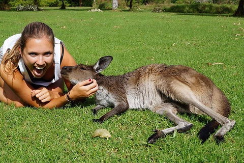 7-Day Tour In Sydney With Airport Pickup - Accommodation Gold Coast 4