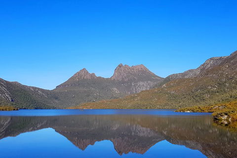 Tasmania 6 Day 'Tour In Circle' - Accommodation Gold Coast 3