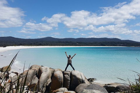 Tasmania 4 Day East Coast + Launceston - Accommodation Gold Coast 1