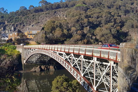 Tasmania 4 Day East Coast + Launceston - Accommodation Gold Coast 5