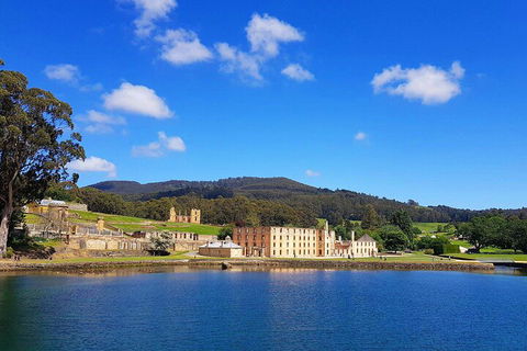 6-Day Tasmania Small-Group Guided Tour With Gourmet Food - Accommodation Gold Coast 5