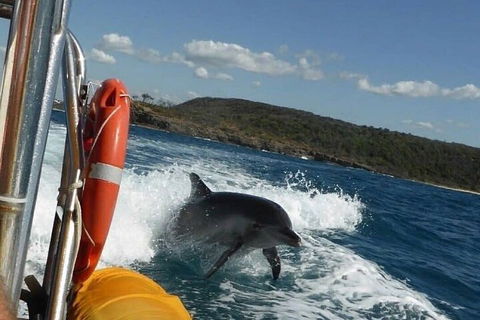 Noosa Oceanrider - Adventure Tour - Accommodation Gold Coast 1