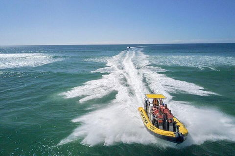 Noosa Oceanrider - Adventure Tour - Accommodation Gold Coast 2