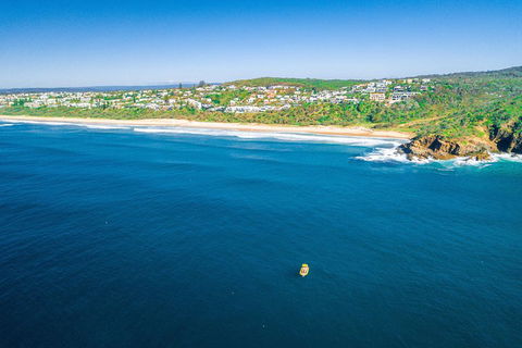 Noosa Oceanrider - Adventure Tour - Accommodation Gold Coast 3
