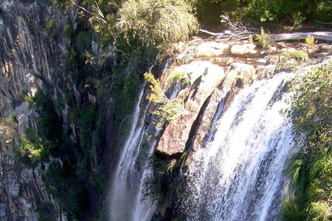 Byron Bay Combo: Hinterland Tour Including Minyon Falls And Kayaking With Dolphins - Accommodation Gold Coast 3