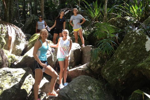 Byron Bay Combo: Hinterland Tour Including Minyon Falls And Kayaking With Dolphins - Accommodation Gold Coast 4