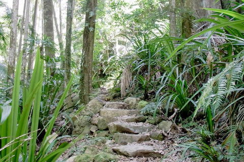Byron Bay Combo: Hinterland Tour Including Minyon Falls And Kayaking With Dolphins - Accommodation Gold Coast 5