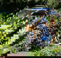 Adelaide 90-Minute Pedicab Tour Scenic Green  River Experience - Accommodation Gold Coast