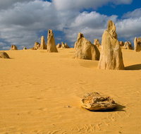 The Pinnacles Sea and Dunescapes Bush Reserve and Sunset Day Tour - Accommodation Gold Coast