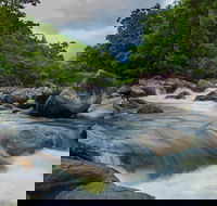 Cape Tribulation Day Tour - Accommodation Gold Coast