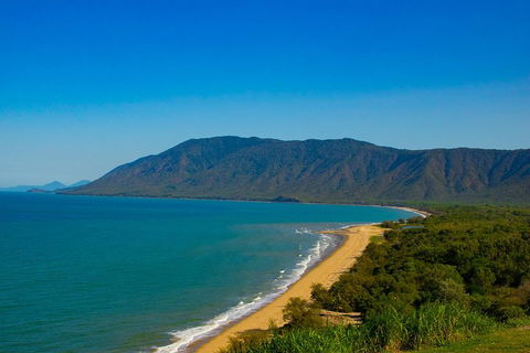 Cape Tribulation Day Tour - Accommodation Gold Coast 1