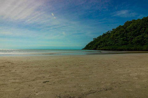 Cape Tribulation Day Tour - Accommodation Gold Coast 2