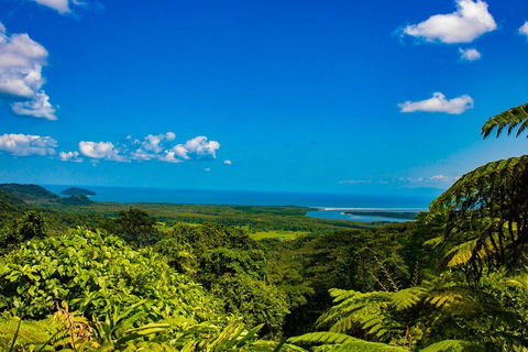Cape Tribulation Day Tour - Accommodation Gold Coast 3