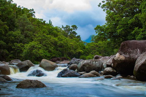 Cape Tribulation Day Tour - Accommodation Gold Coast 4