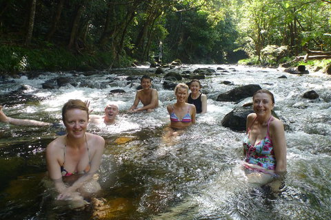 Daintree Rainforest, Cape Tribulation, Mossman Gorge Small-Group Day Tour - Accommodation Gold Coast 0