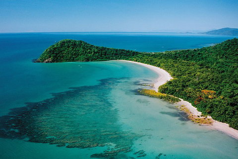 Daintree Rainforest, Cape Tribulation, Mossman Gorge Small-Group Day Tour - Accommodation Gold Coast 4