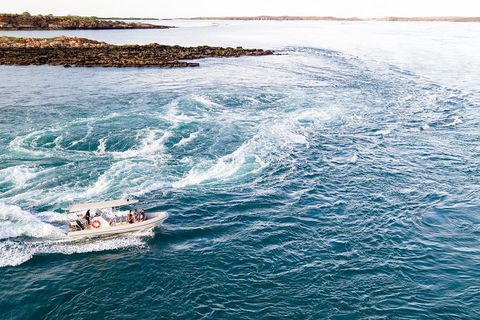 Giant Tides Tour - Cygnet Bay Pearl Farm - Accommodation Gold Coast 4