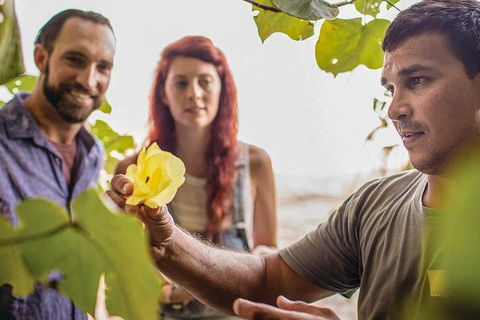 Ngana Julaymba Dungay - Full Day - Accommodation Gold Coast 4