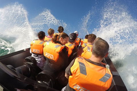 Noosa Thriller - 500hp Ocean Adventure Ride - Accommodation Gold Coast 4
