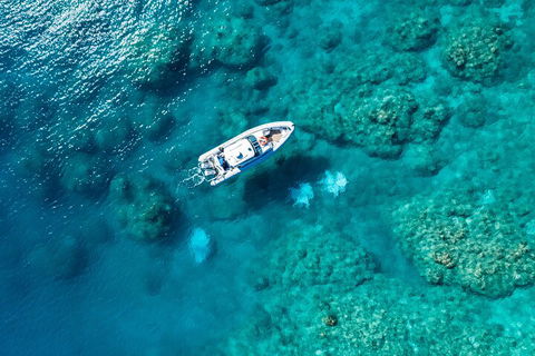 Premium Private Charter - Accommodation Gold Coast 0