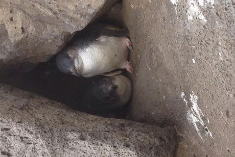 Food Tour Melbourne - St Kilda - Accommodation Gold Coast 3