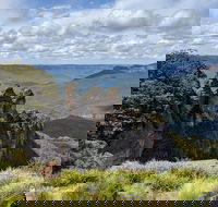 Blue Mountains Private Tour - wild kangaroos waterfalls and The Three Sisters - Accommodation Gold Coast