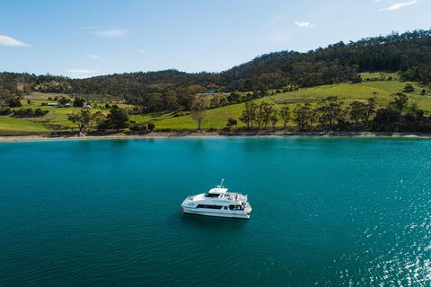 Deep-to-Dish: Tasmanian Seafood Experience - Accommodation Gold Coast 0