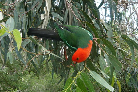3-Day Private Adelaide To Melbourne Tour - Accommodation Gold Coast 0