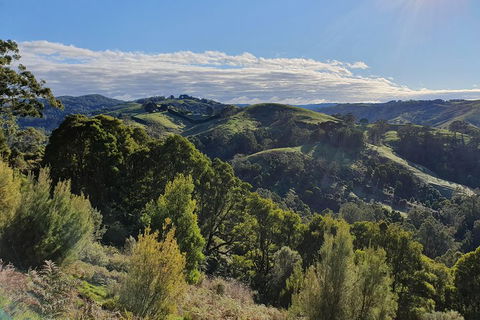 3-Day Adelaide To Melbourne Tour Including The Great Ocean Road - Accommodation Gold Coast 5