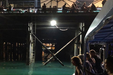 Darwin Sunset Cruise Including Fish 'n' Chips - Accommodation Gold Coast 0