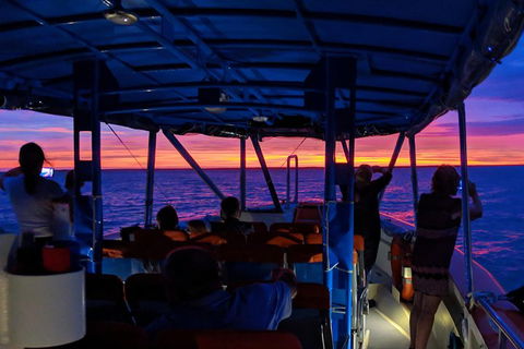 Darwin Sunset Cruise Including Fish 'n' Chips - Accommodation Gold Coast 1