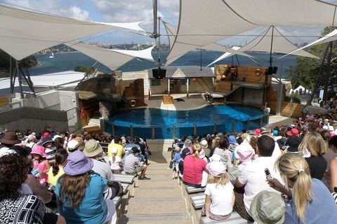 Sydney Taronga Zoo General Entry Ticket - Accommodation Gold Coast 5