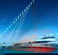 Passions of Paradise Great Barrier Reef Snorkel and Dive Cruise from Cairns by Luxury Catamaran - Accommodation Gold Coast
