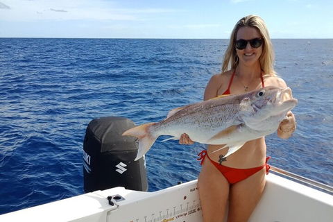 1/2 Day 5 Hour Offshore Fishing Charter - Accommodation Gold Coast 0