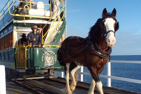 Full-Day Tour In South Australia Highlights - Accommodation Gold Coast 1
