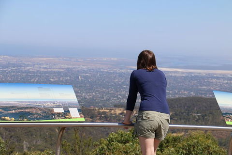 Self-Guided Waterfall Gully To Mount Lofty Hike From Adelaide - Accommodation Gold Coast 0