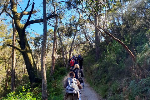 Self-Guided Waterfall Gully To Mount Lofty Hike From Adelaide - Accommodation Gold Coast 1