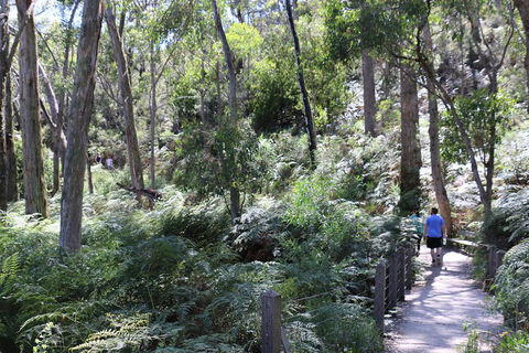Self-Guided Waterfall Gully To Mount Lofty Hike From Adelaide - Accommodation Gold Coast 2
