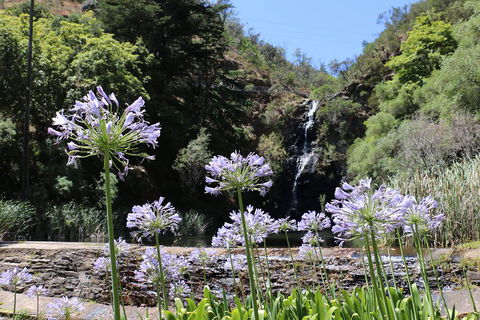 Self-Guided Waterfall Gully To Mount Lofty Hike From Adelaide - Accommodation Gold Coast 3