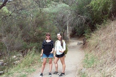 Self-Guided Waterfall Gully To Mount Lofty Hike From Adelaide - Accommodation Gold Coast 4
