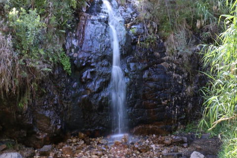 Self-Guided Waterfall Gully To Mount Lofty Hike From Adelaide - Accommodation Gold Coast 5