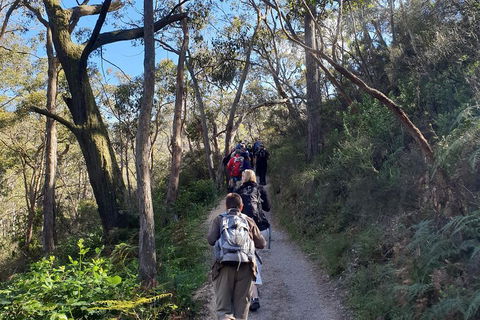 Mount Lofty Hike And Cleland Wildlife Park Day Trip From Adelaide - Accommodation Gold Coast 3