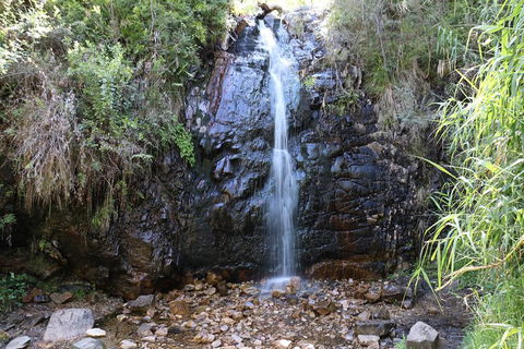 Mount Lofty Hike And Cleland Wildlife Park Day Trip From Adelaide - Accommodation Gold Coast 4