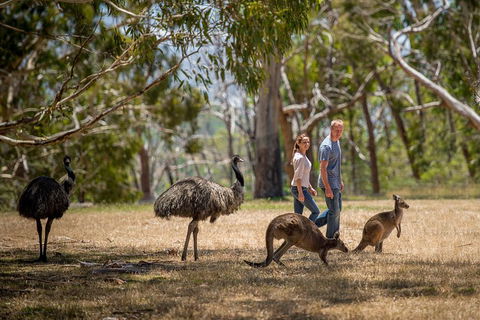 Mount Lofty Hike And Cleland Wildlife Park Day Trip From Adelaide - Accommodation Gold Coast 5