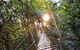 O'Reilly's & Lamington National Park From Brisbane - thumb 5