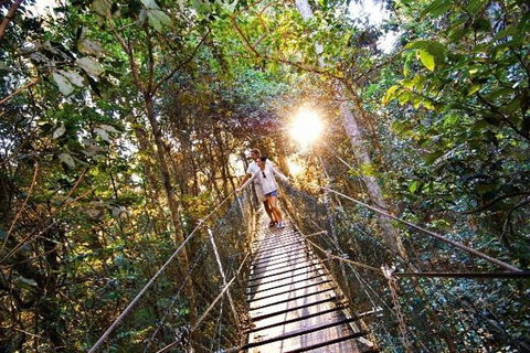 O'Reilly's & Lamington National Park From Brisbane - Accommodation Gold Coast 5