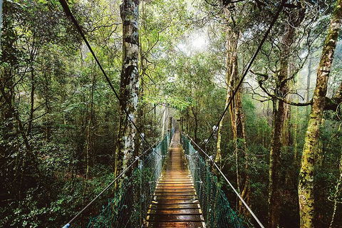 O'Reilly's & Lamington National Park From Gold Coast - Accommodation Gold Coast 0