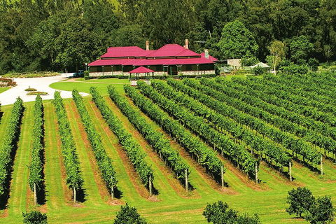 O'Reilly's & Lamington National Park From Gold Coast - Accommodation Gold Coast 2