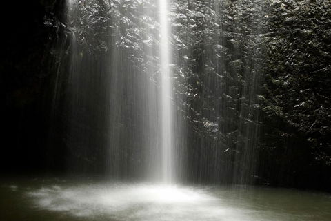 Natural Bridge Glow Worm Night Tour From Gold Coast - Accommodation Gold Coast 2
